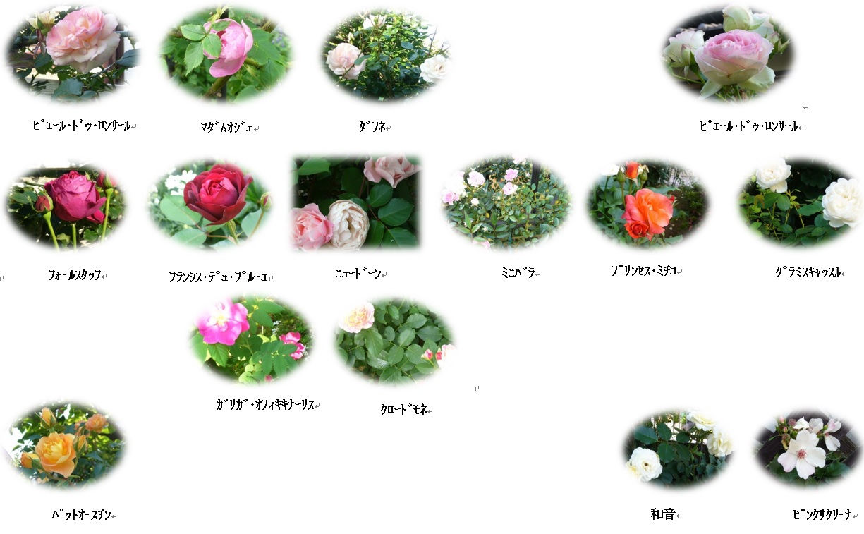 �₶�����U��