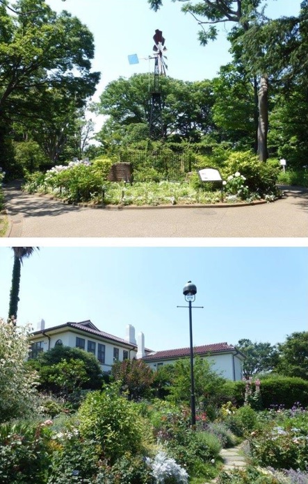 �₶�����U��