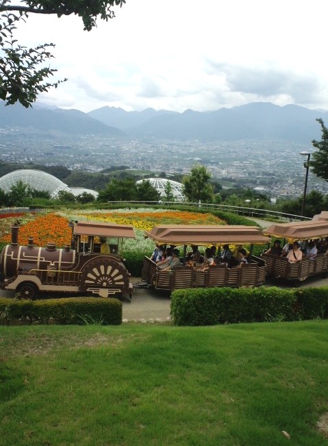 �o�C�N�e��