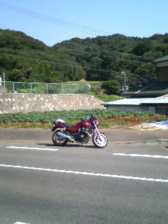 �o�C�N�e��