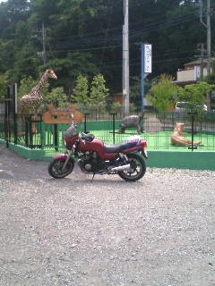 �o�C�N�e��