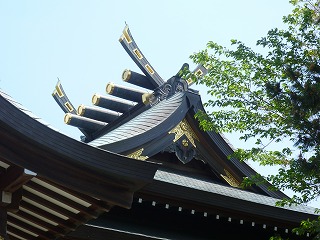 �������̖ڋ�