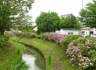 �������̖ڋ�