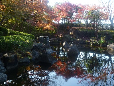 �������̖ڋ�