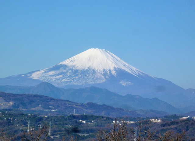 �������̖ڋ�