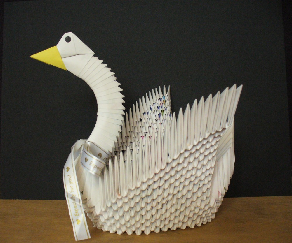 �������̖ڋ�