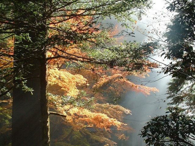 �������̖ڋ�