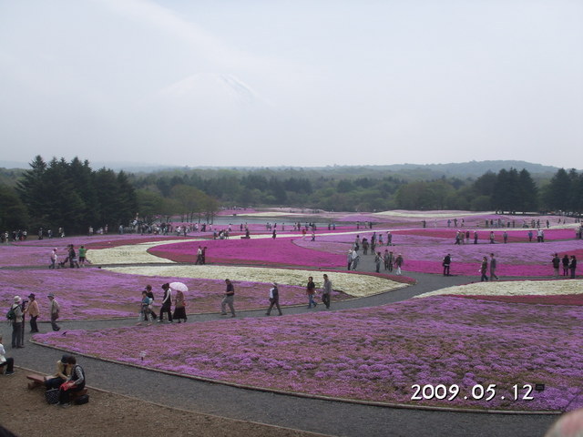 �C�̌����܂�