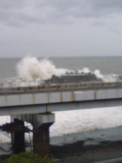 �C�̌����܂�