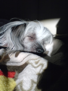 �C�̌����܂�