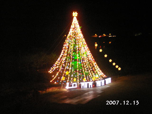 �C�̌����܂�