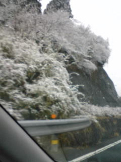 �C�̌����܂�