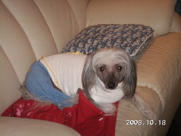 �C�̌����܂�