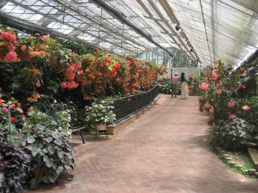 ���������̎��R�ȂƂ���