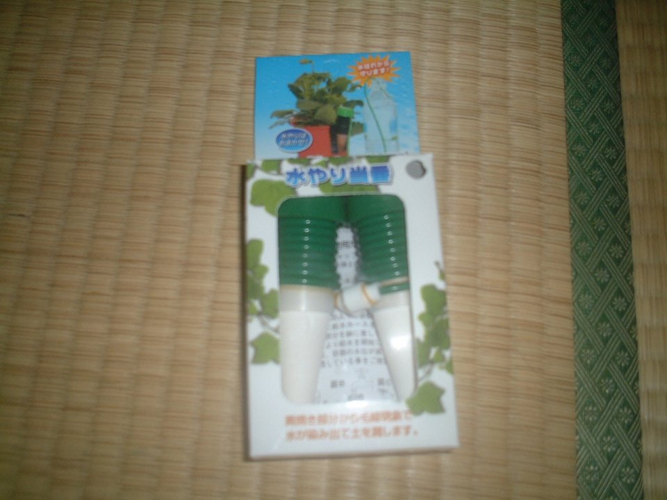 ���������̎��R�ȂƂ���