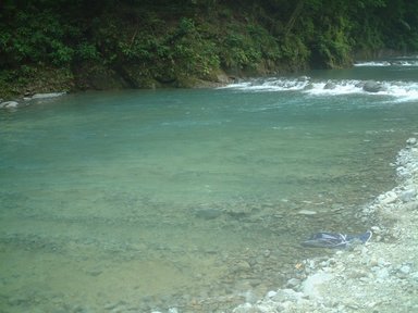 ���������̎��R�ȂƂ���