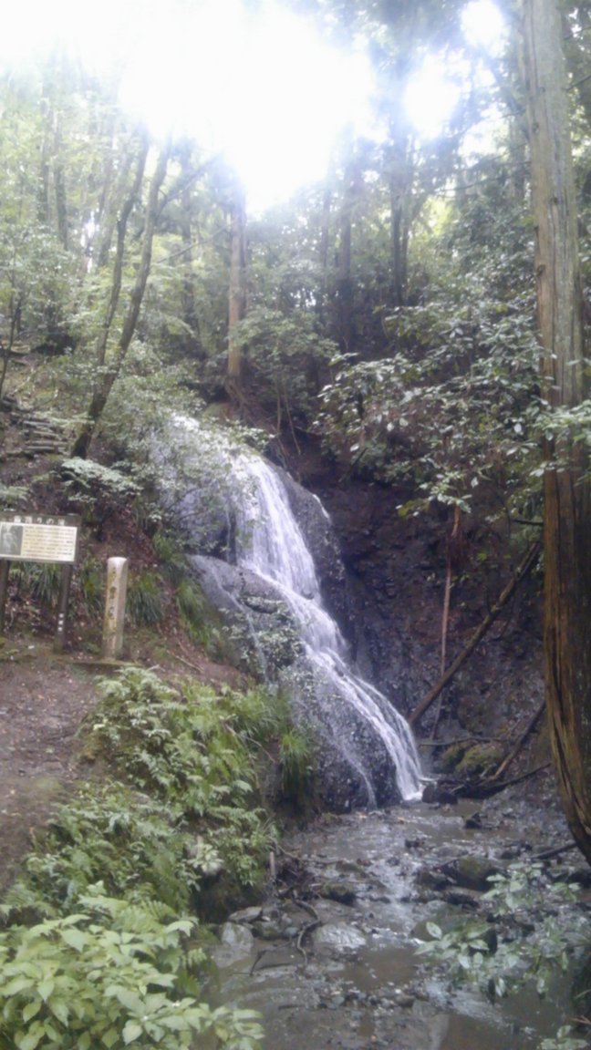 ���������̎��R�ȂƂ���