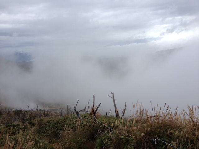 ���������̎��R�ȂƂ���