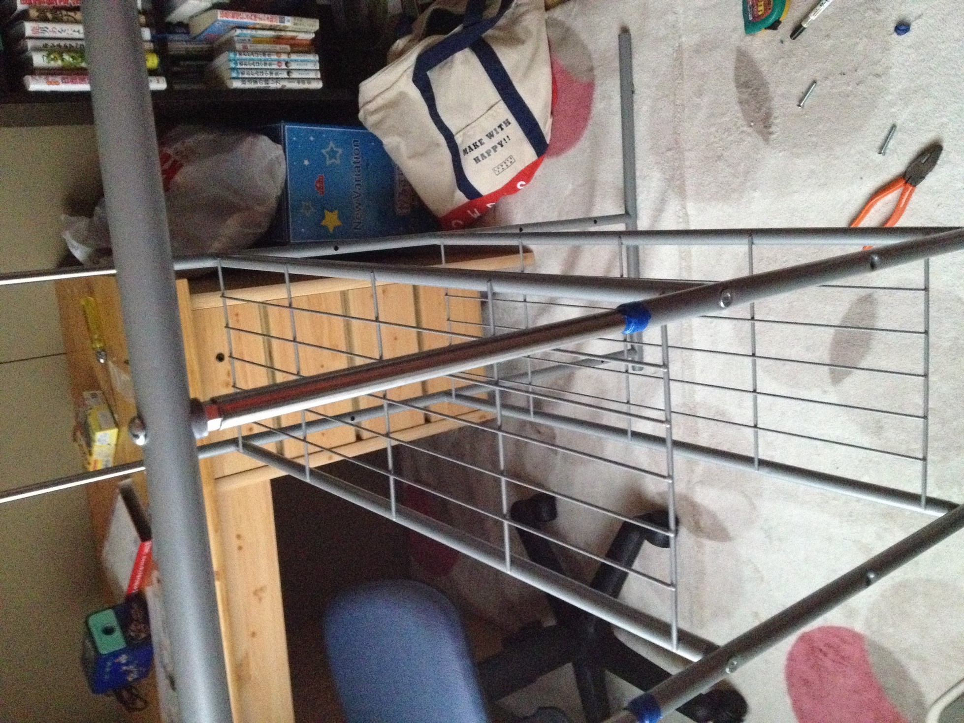 ���������̎��R�ȂƂ���