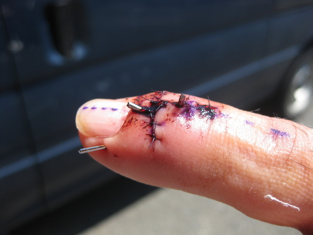 holy-knight�@     Senior Football