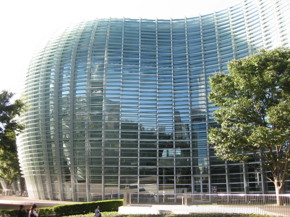 holy-knight�@     Senior Football