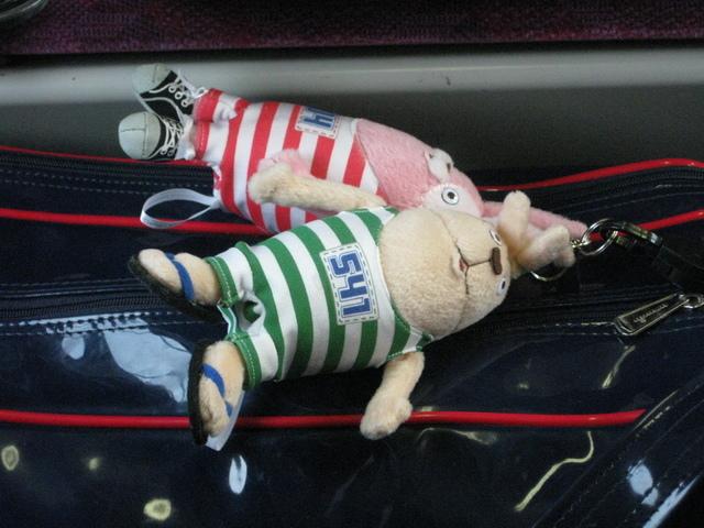 holy-knight�@     Senior Football