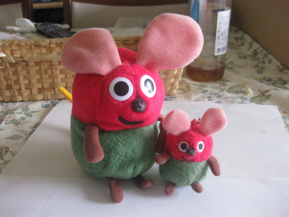 holy-knight�@     Senior Football