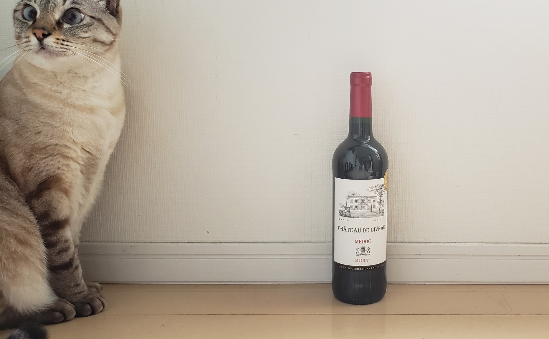 holy-knight�@     Senior Football