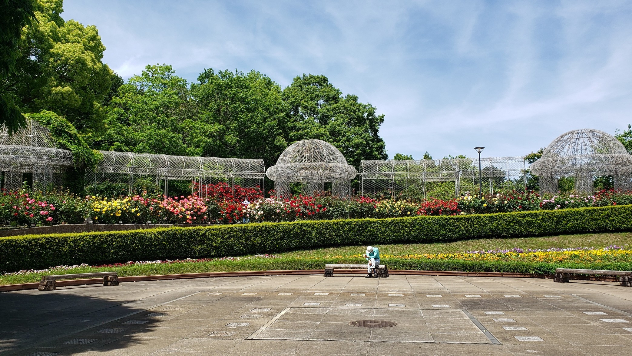 holy-knight�@     Senior Football