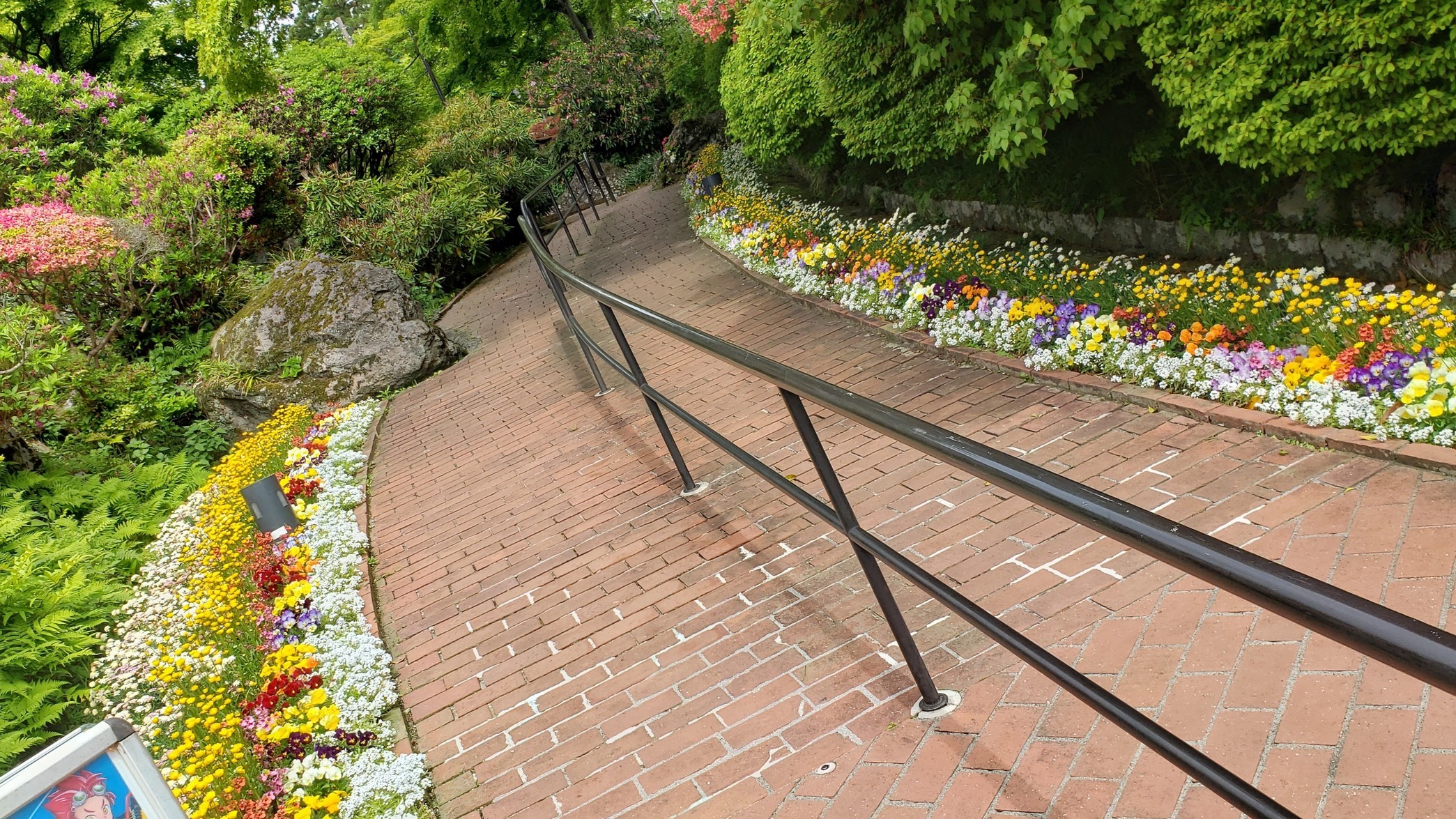 holy-knight�@     Senior Football