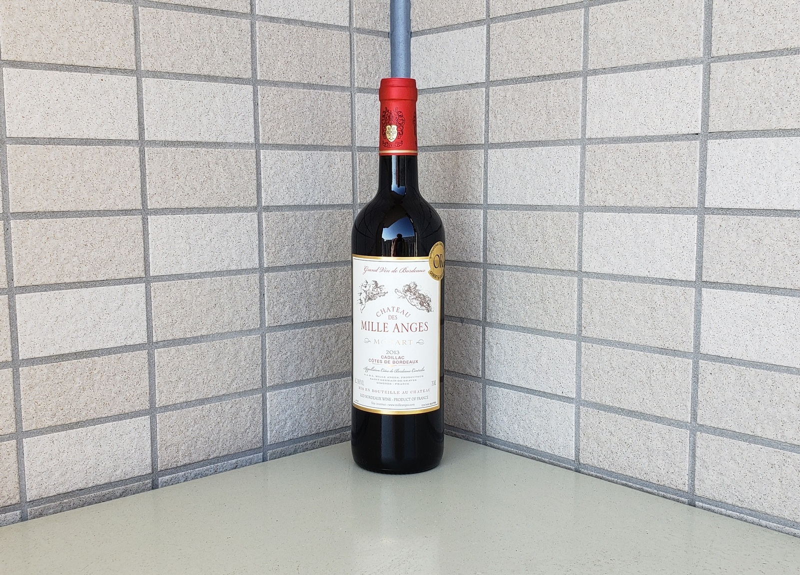 holy-knight�@     Senior Football