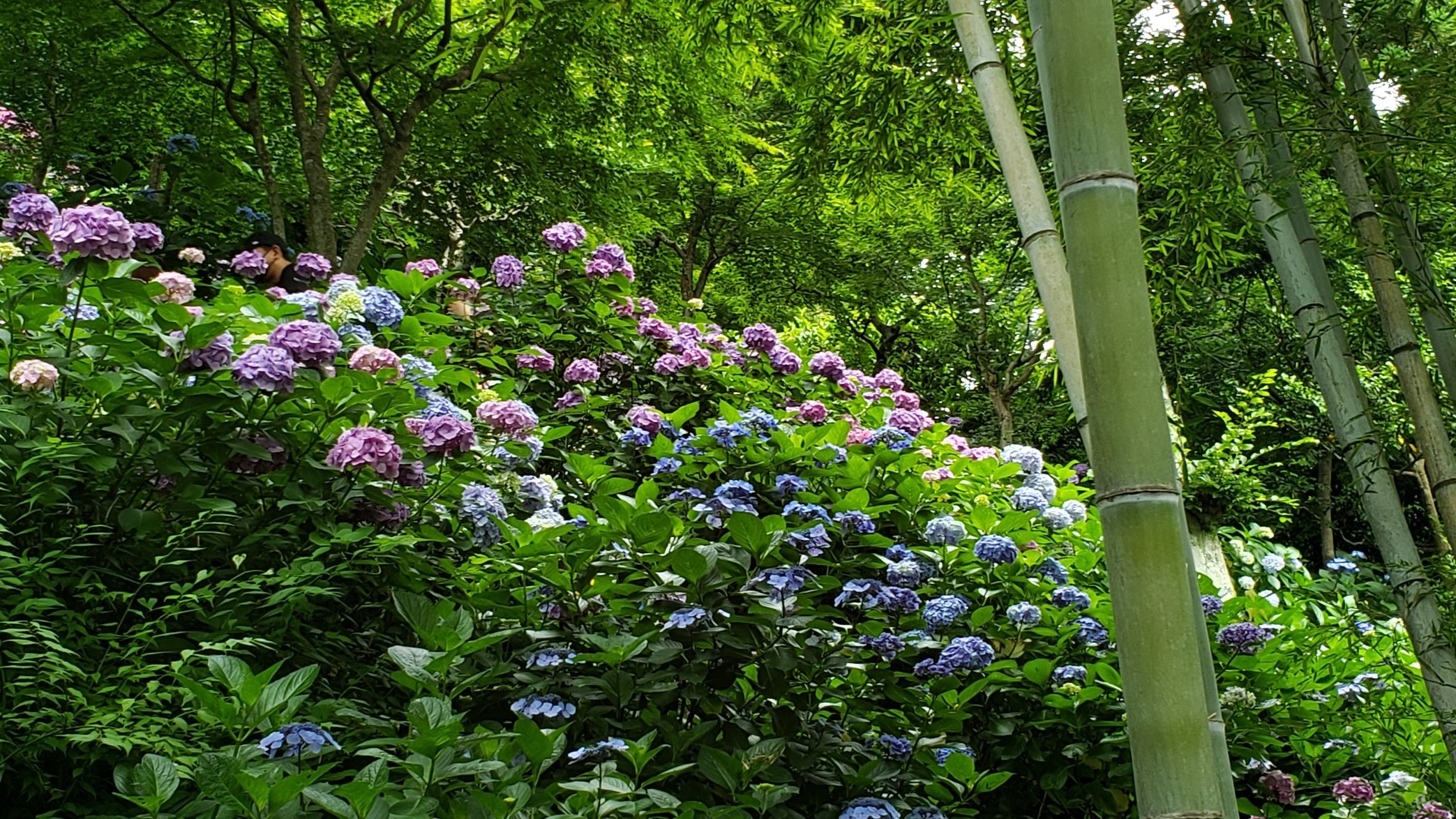 holy-knight�@     Senior Football