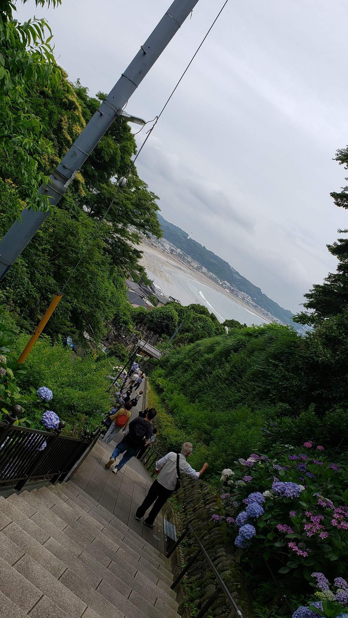 holy-knight�@     Senior Football