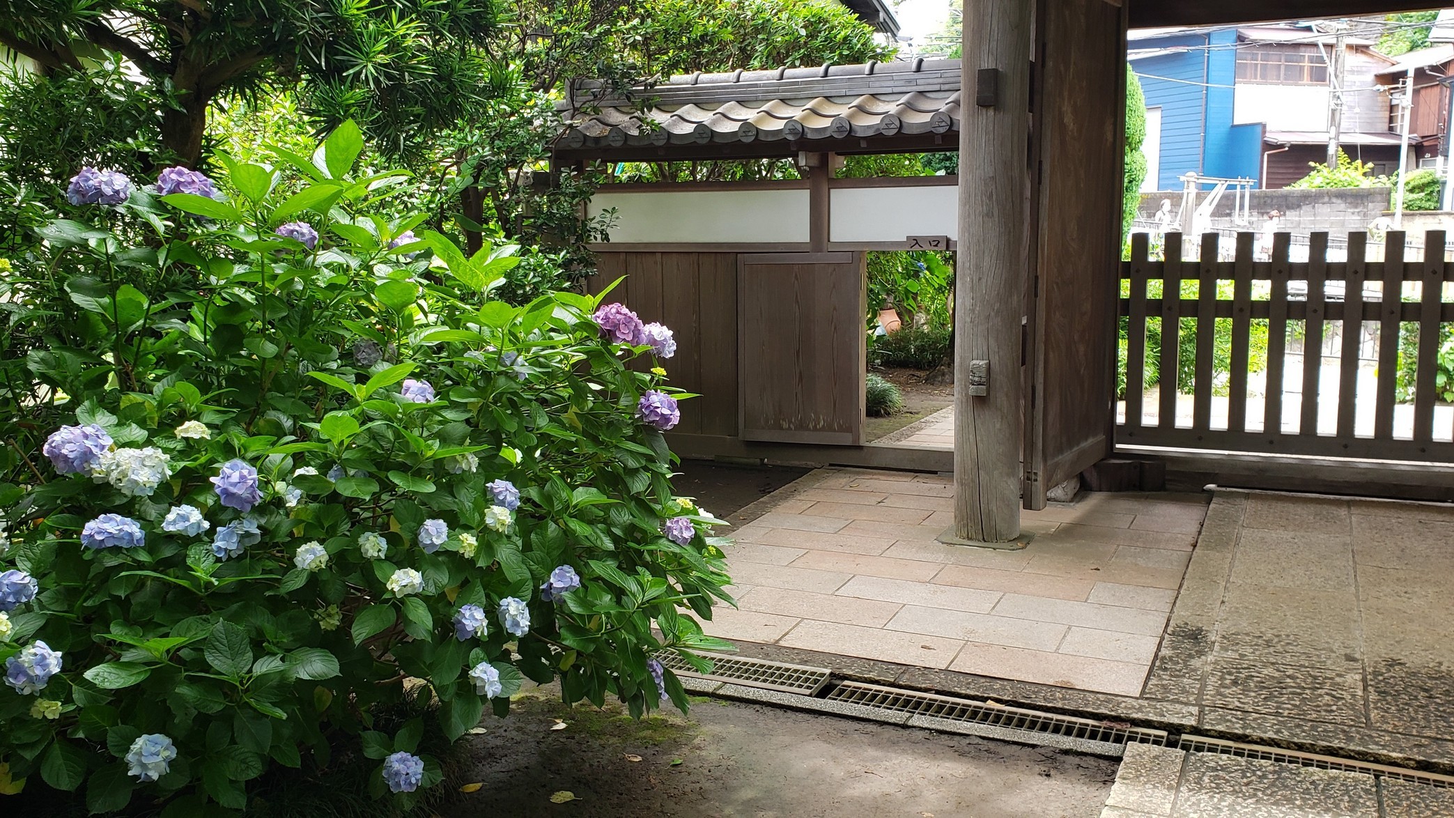 holy-knight�@     Senior Football