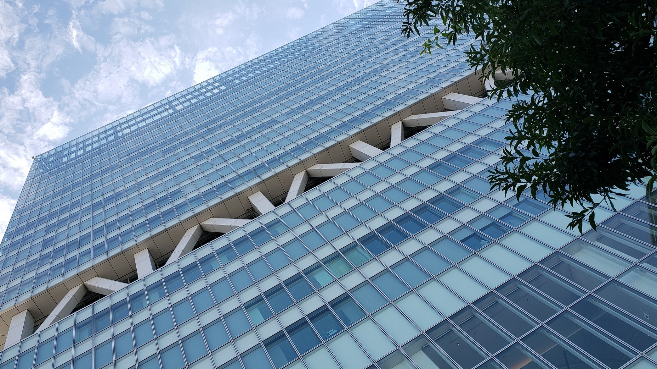 holy-knight�@     Senior Football