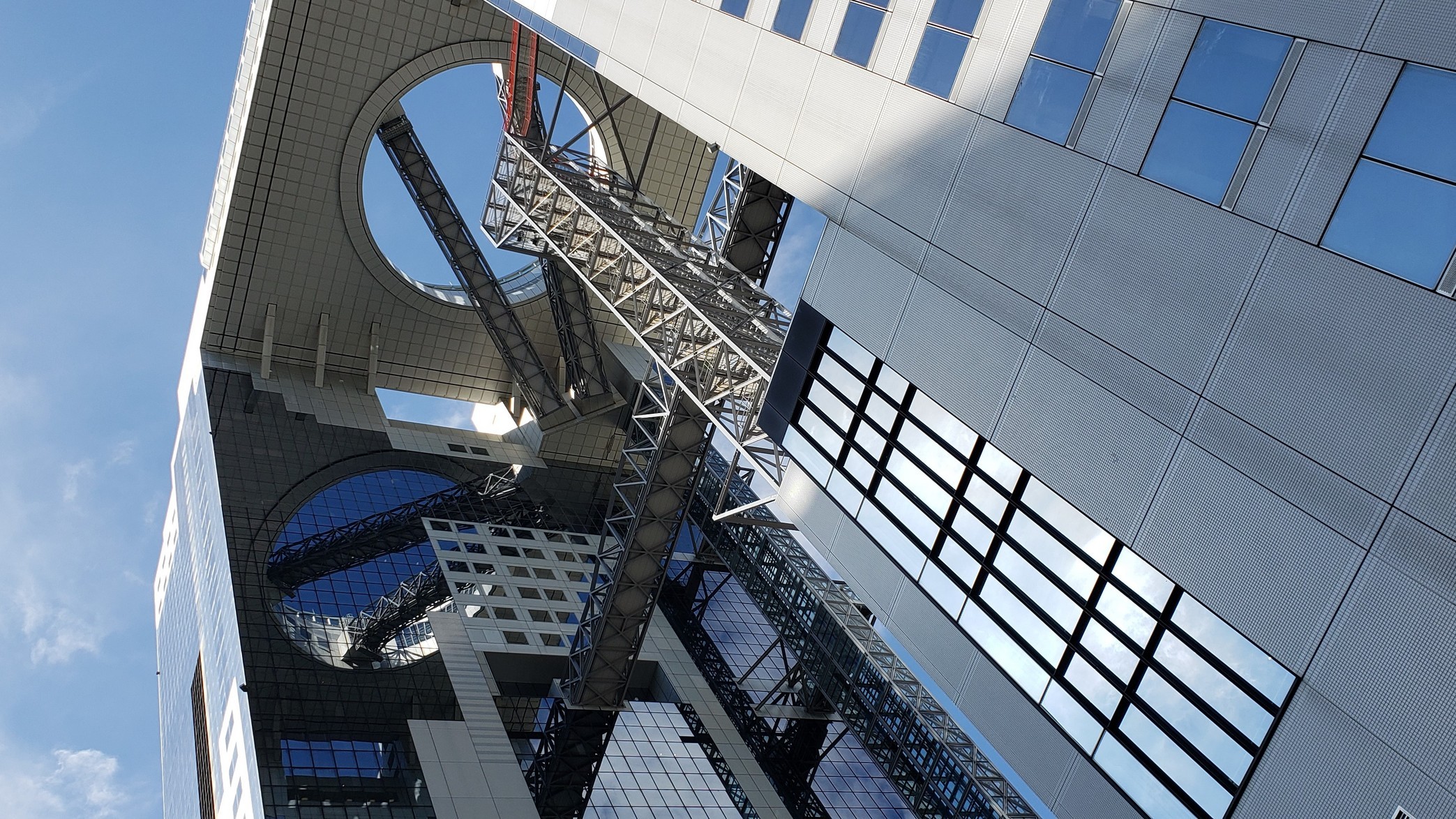 holy-knight�@     Senior Football