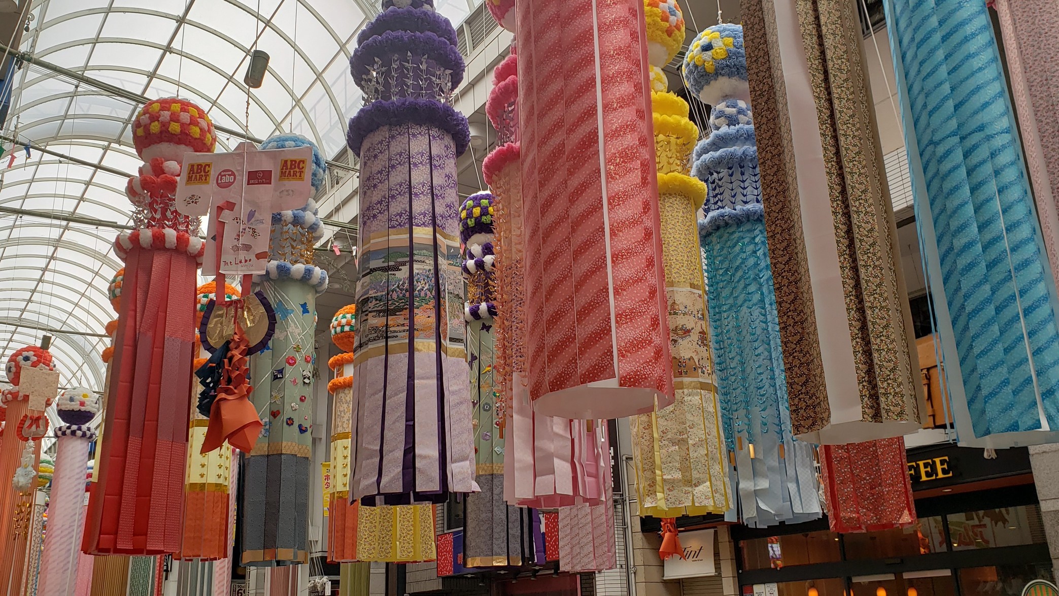 holy-knight�@     Senior Football