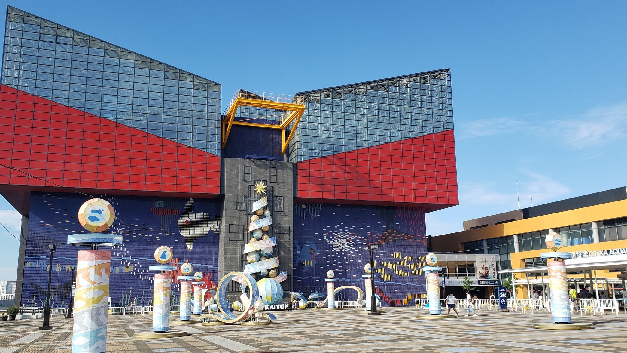 holy-knight�@     Senior Football