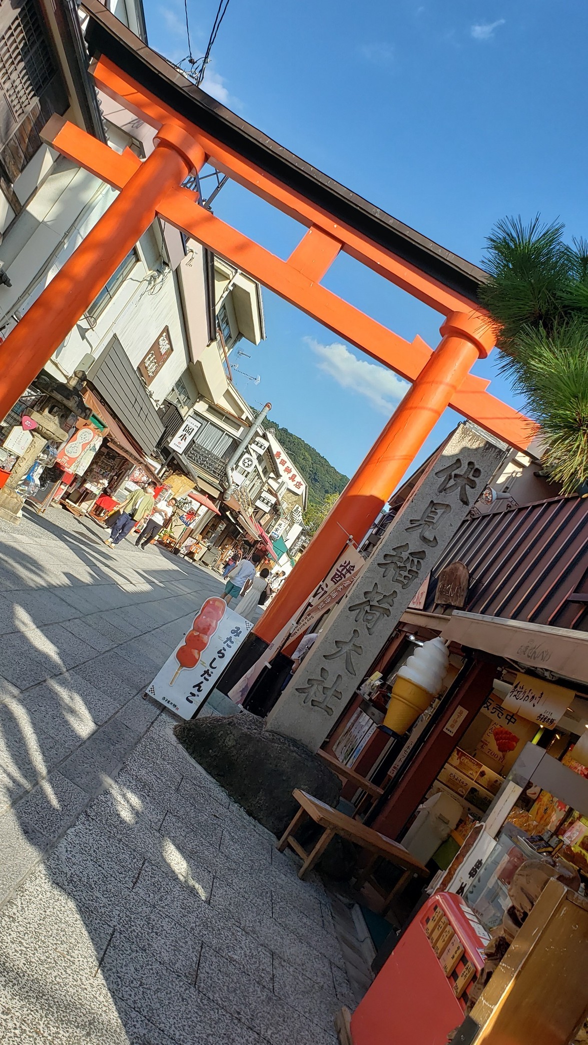 holy-knight�@     Senior Football