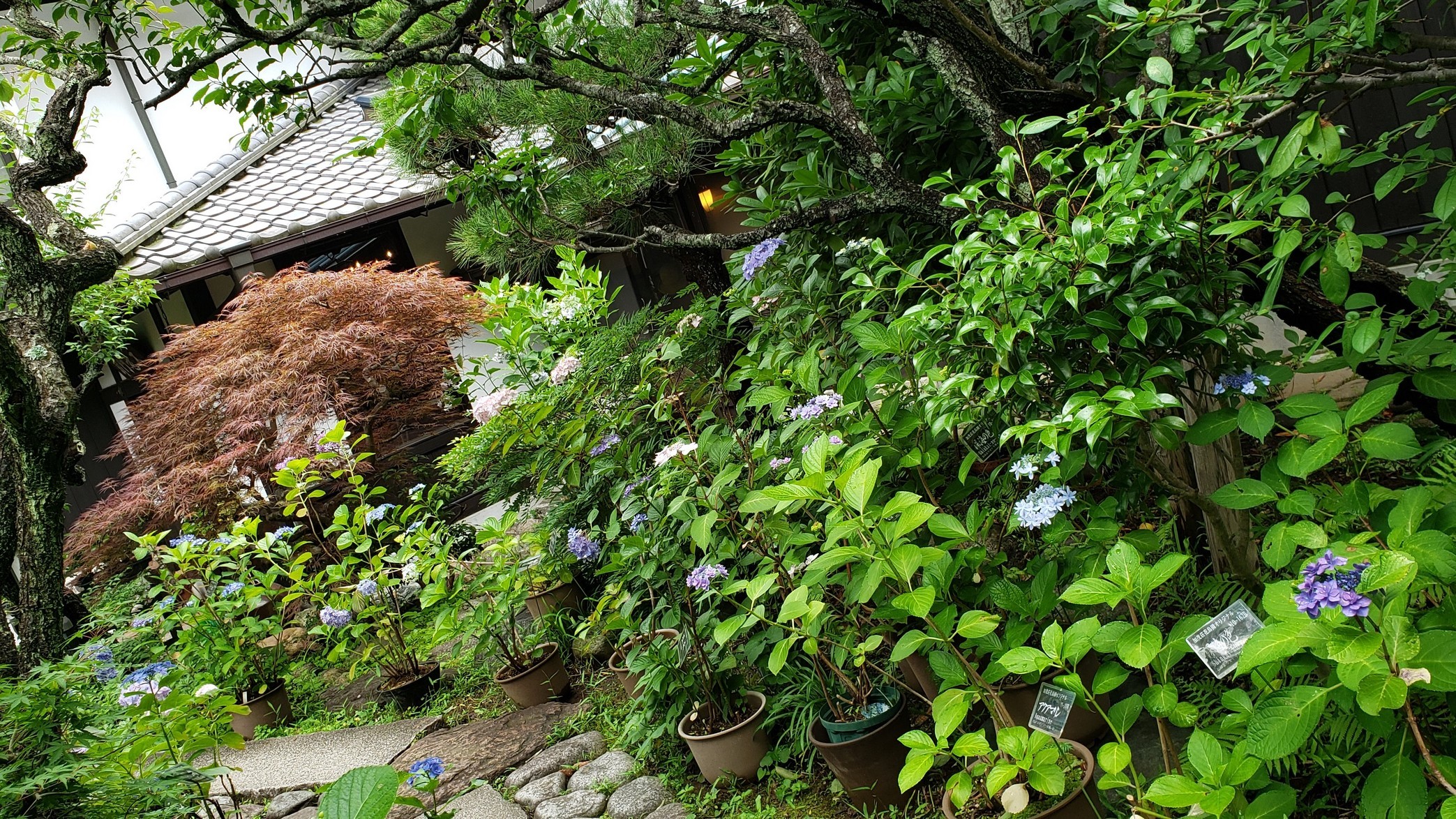 holy-knight�@     Senior Football