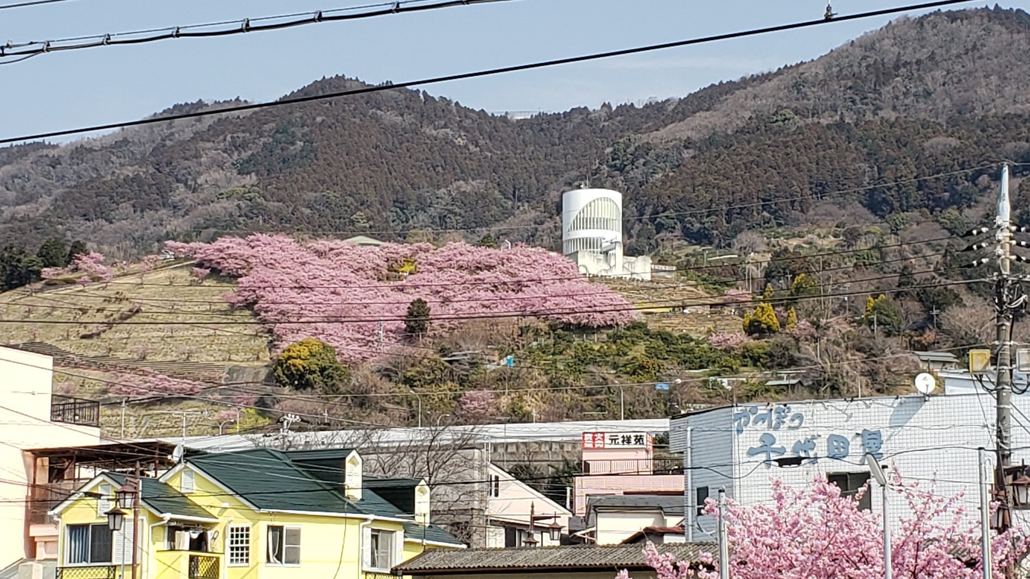 holy-knight�@     Senior Football