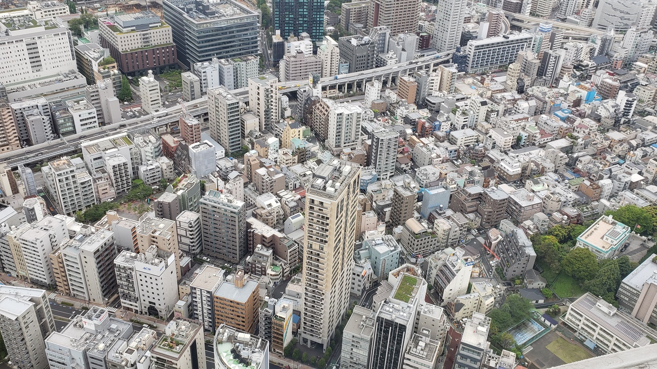 holy-knight�@     Senior Football