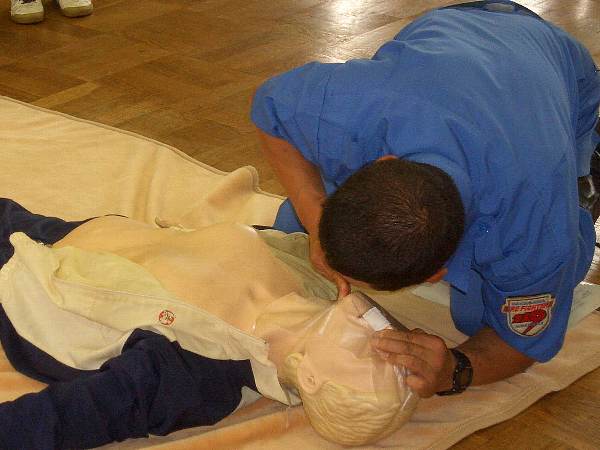 �̂́A���̉��q���܁I