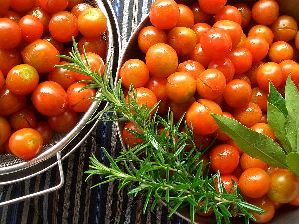 �̂́A���̉��q���܁I