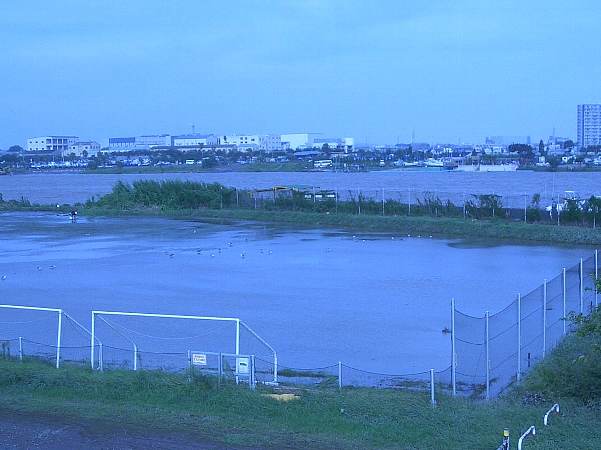 �̂́A���̉��q���܁I