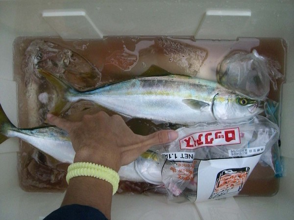 �����Ȃ����`�@�`TEAM�@G1�ENPO�`