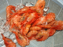 �В��̂Ԃ₫