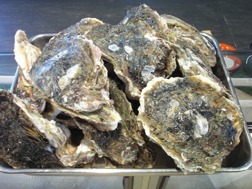 �В��̂Ԃ₫