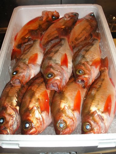 �В��̂Ԃ₫