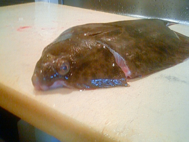 �В��̂Ԃ₫